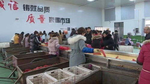 全省農產品質量安全追溯體系暨食用農產品合格證制度培訓班在我縣開班 助力食用農產品研發提質增效