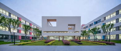 三林新添一所明珠教育集團成員學校 三林實驗小學全新亮相,一大波學校實景圖先睹為快